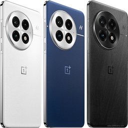 OnePlus 13 5G 1